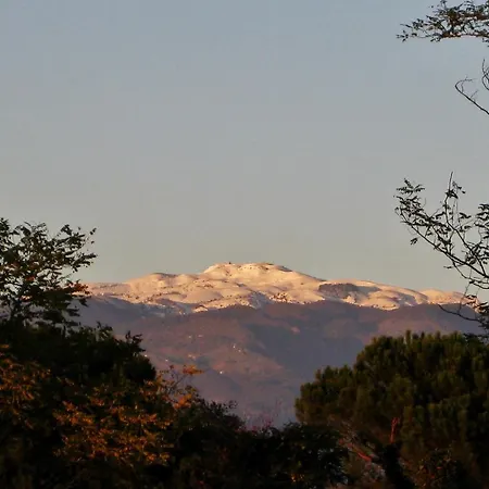 فندق Miramonti Enoteca